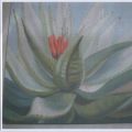 Aloe (Pera's first painting)