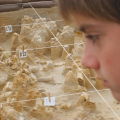 Fossils near Hopefield - Phillip